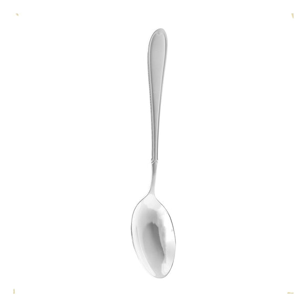 winsor-stainless-steel-cake-serving-spoon-proud-silver