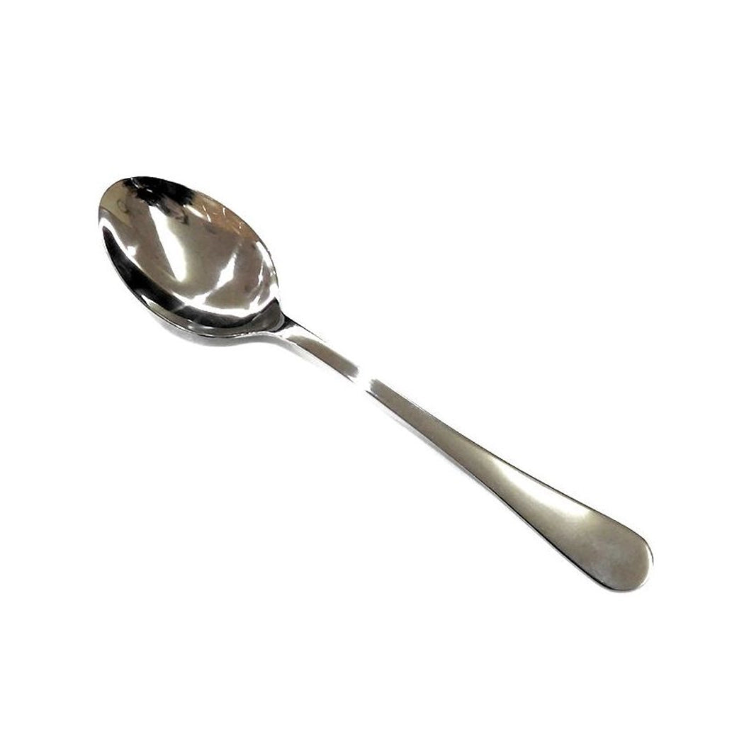 winsor-stainless-steel-fellini-serving-spoon-silver