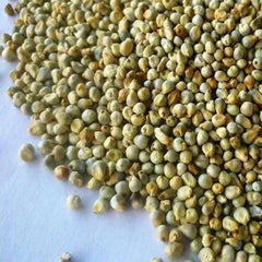 Green Millet Bajra 1 x 15 Kg bulk bag