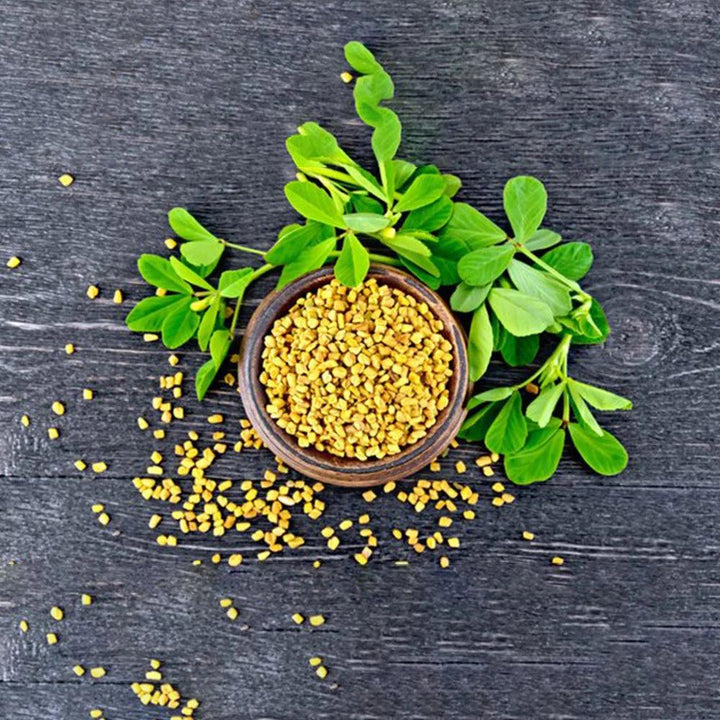 777 Methi (Fenugreek) Seeds 15 Kgs - HorecaStore