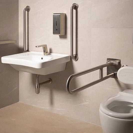 Aquaeco Ix304 Brushed Stainless Steel Fold Down Grab Bar With Toilet Roll Holder, 10x80x23 cm