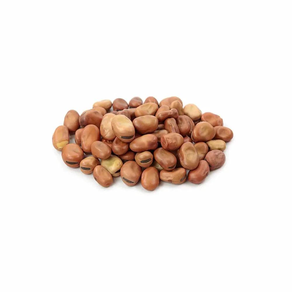 Syria Faba Beans 25 Kg - HorecaStore