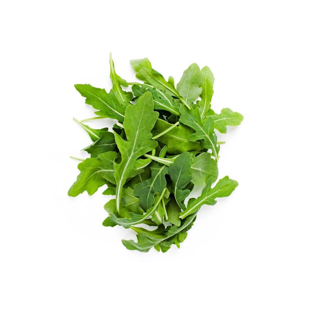 Baby Rocca Leaf Australia 1 Kg   HorecaStore