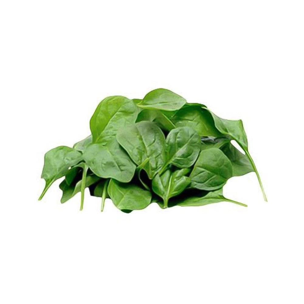 Baby Spinach Leaves Holland 1 Kg   HorecaStore