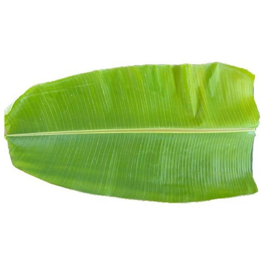 Banana Leaf India 1 Pc   HorecaStore