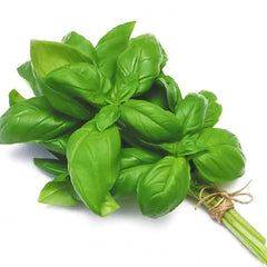 Basil Leaves 5 Kg