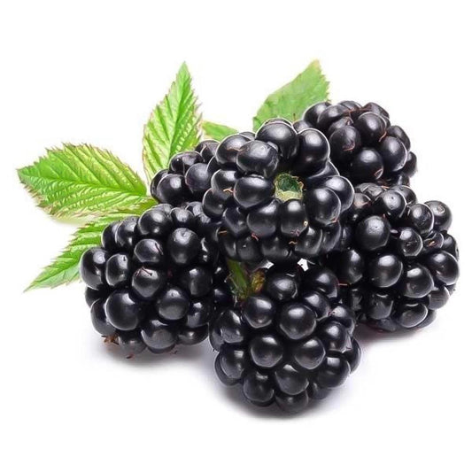 Blackberries Australia 1 Packet   HorecaStore