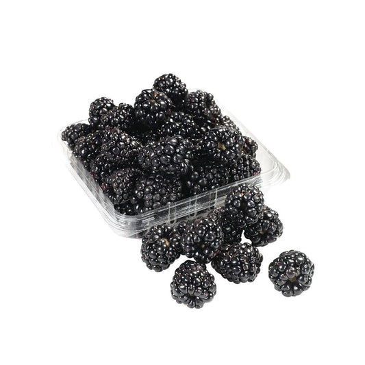 Blackberries Holland 1 Packet   HorecaStore
