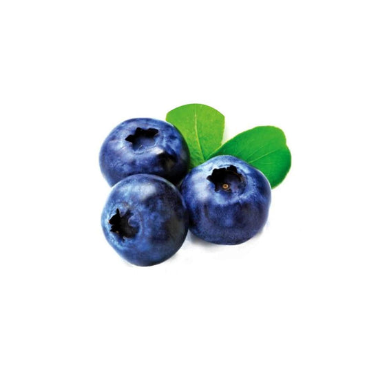 Blueberries Holland 1 Packet   HorecaStore