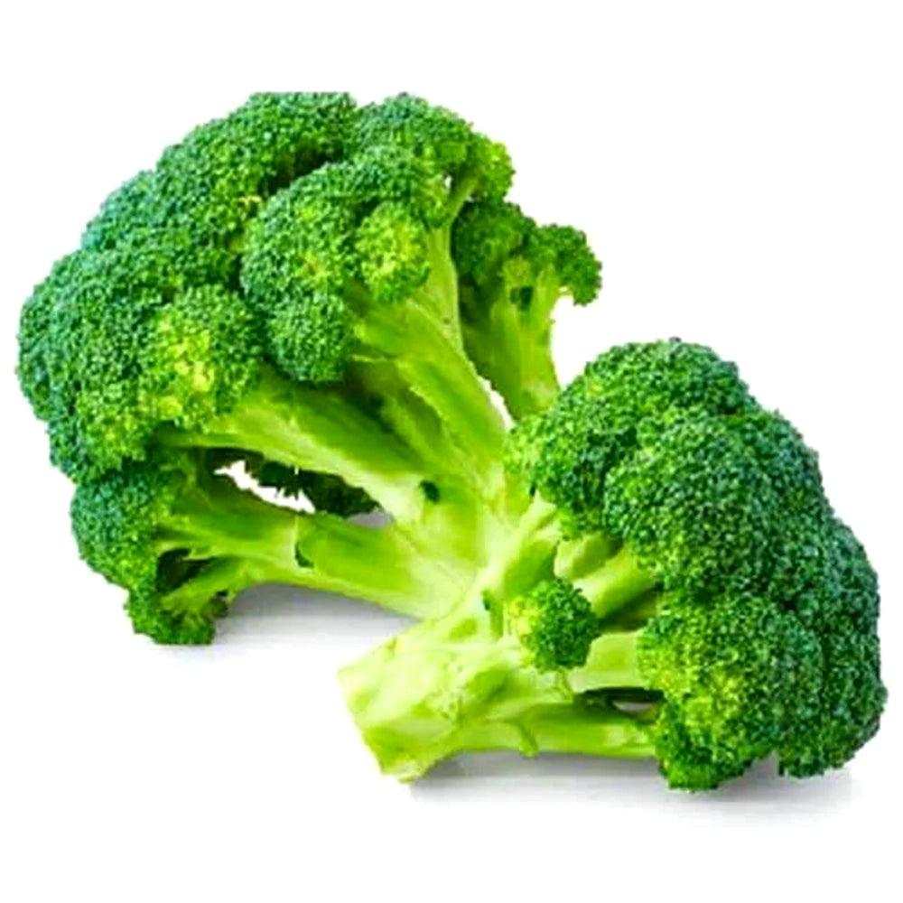 Brocolli Holland 1 Kg   HorecaStore