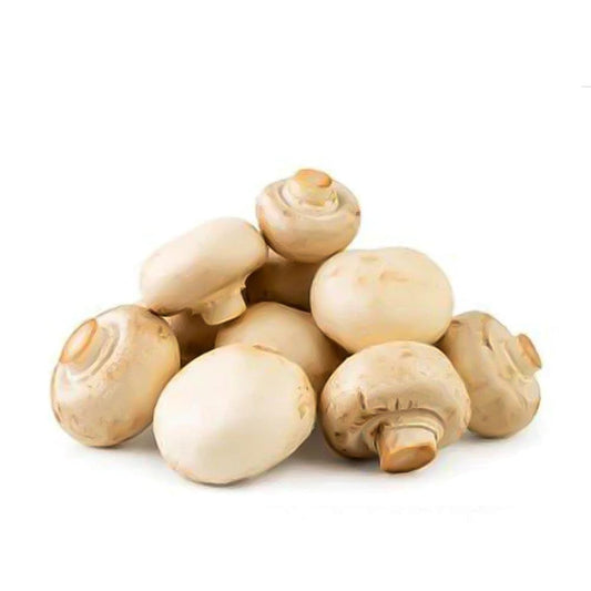 Button Mushroom Middle East 1 Kg   HorecaStore