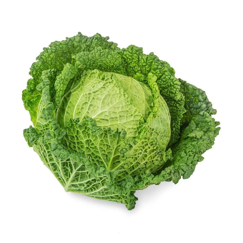 Cabbage Savoy Holland 1 Kg   HorecaStore