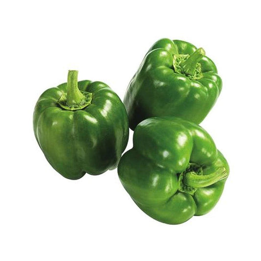 Capsicum Green 1 Kg   HorecaStore