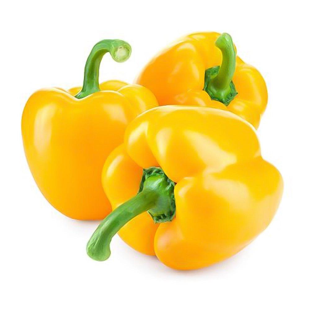 Capsicum Yellow Holland 1 Kg   HorecaStore