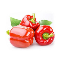 Capsicum Red Holland 5 Kg