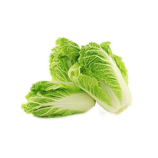 Chinese Cabbage 1 Kg   HorecaStore