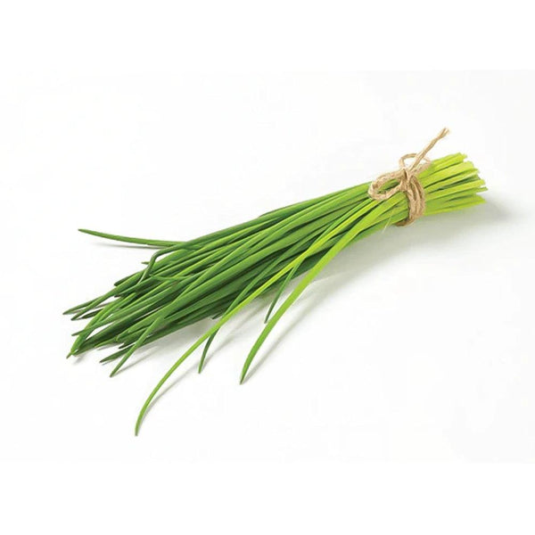 Chives Holland 1 Kg   HorecaStore