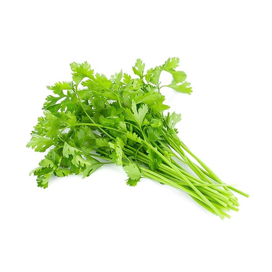 Coriander Leaves Middle East 1 Kg   HorecaStore