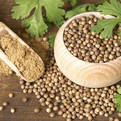 777 Coriander Powder 1 x 5 KG - HorecaStore