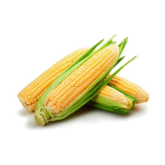 Corn Cobs Australia 1 Kg   HorecaStore
