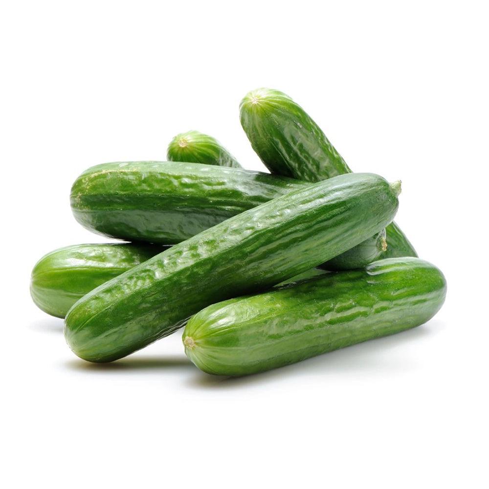 Cucumber PP Holland 1 Kg   HorecaStore