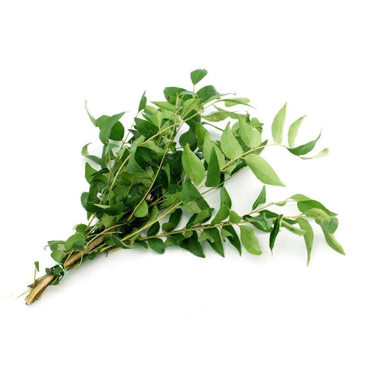 Curry Leaves India 1 Kg   HorecaStore