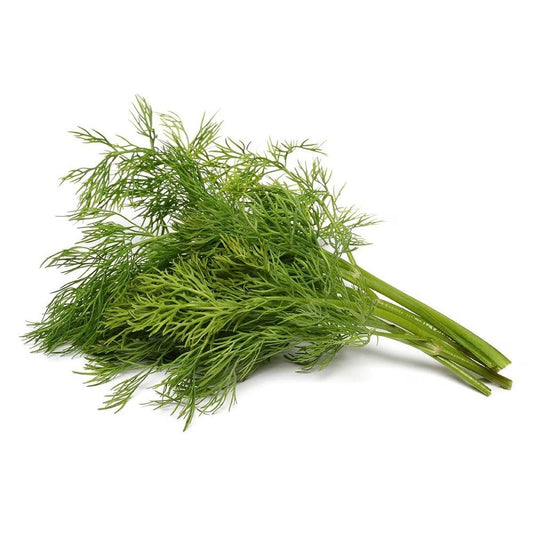 Dill Leaves Middle East 1 Kg   HorecaStore