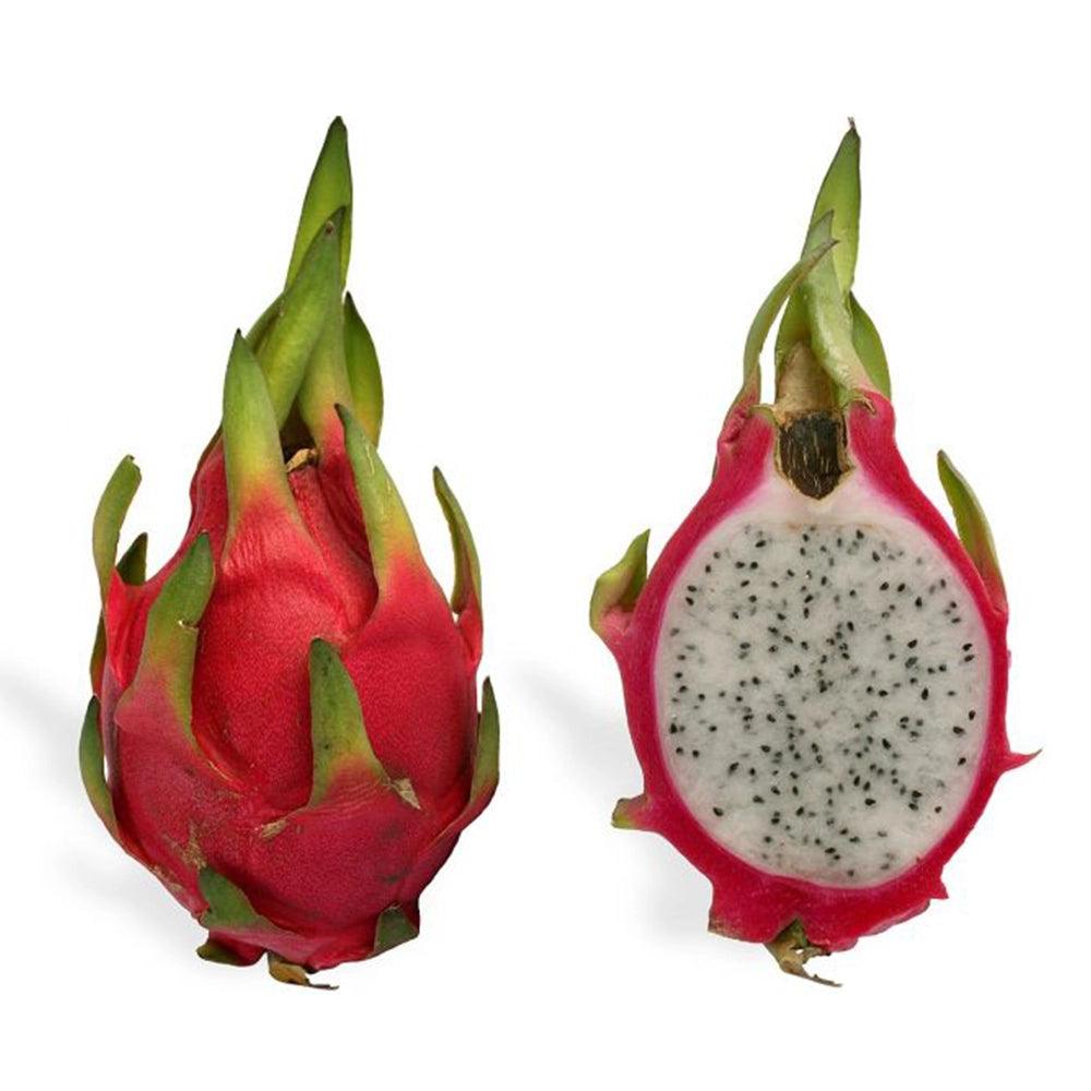 Dragon Fruit Vietnam 1 Kg   HorecaStore