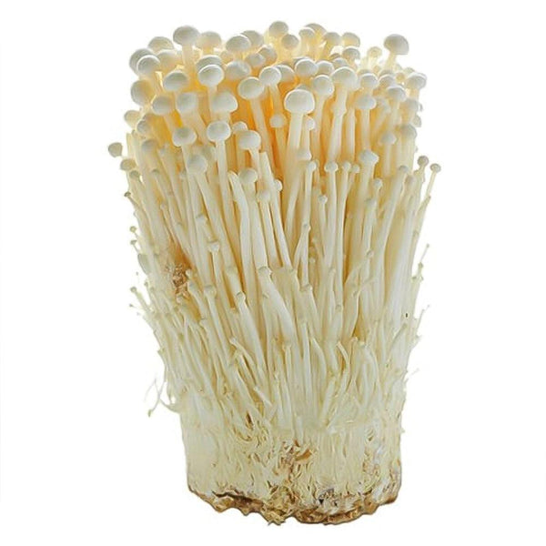 Enoki Mushroom Holland 1 Kg   HorecaStore