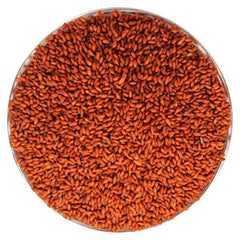 India Rashad Asario Seeds 1 Kg