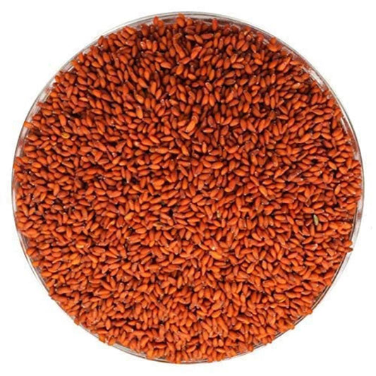 India Rashad Asario Seeds 1 Kg - HorecaStore