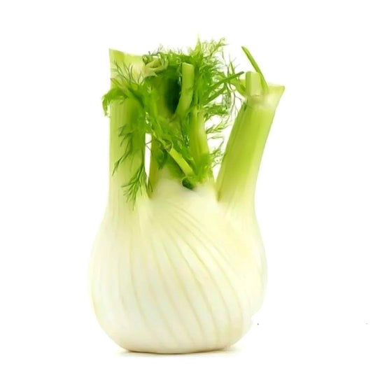 Fennel Australia 1 Kg   HorecaStore