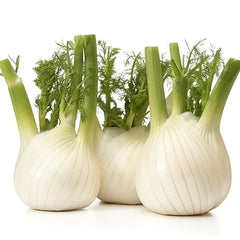 Fennel Holland 5 Kg