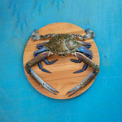 Fresh Blue Crab Whole 1 x 10 kg