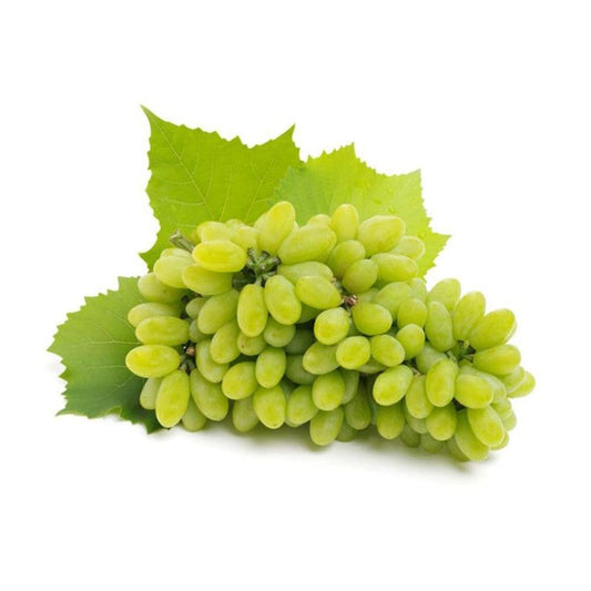 Green Grapes Chile 1 Kg   HorecaStore