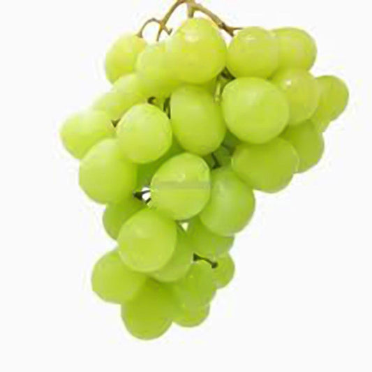 Green Grapes South Africa 1 Kg   HorecaStore