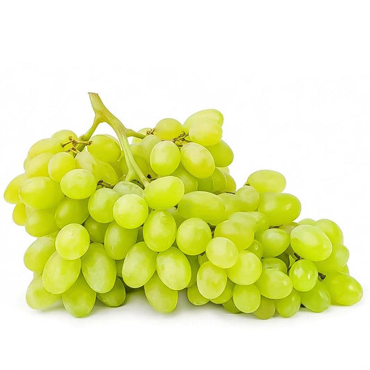 Green Seedless Grapes USA 1 Kg   HorecaStore