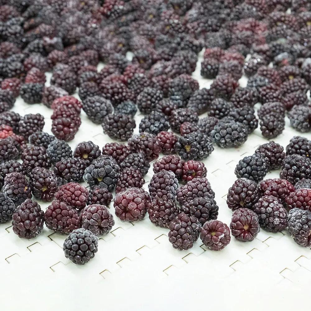 IQF Frozen Blackberry 4X2.5 kg - HorecaStore