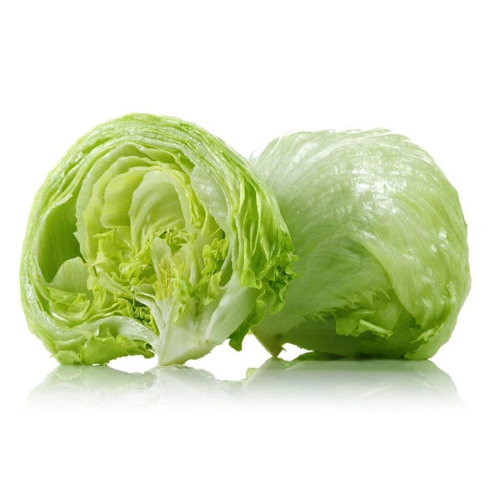 Iceberg Lettuce Middle East 1 Kg   HorecaStore