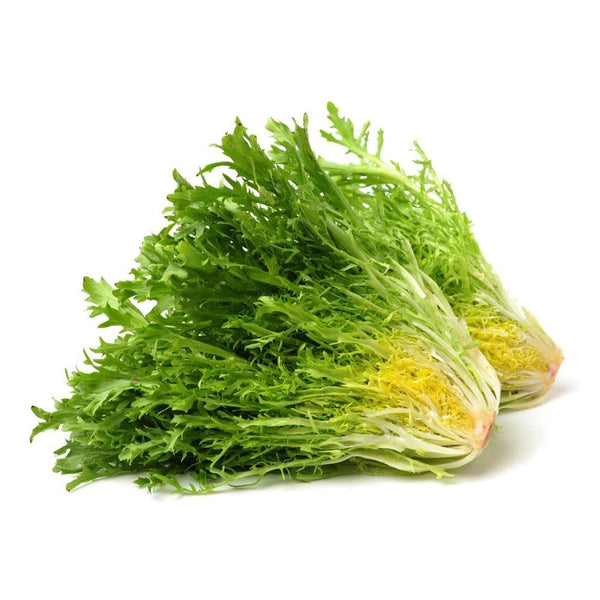 Lettuce Frisee Holland 1 Kg   HorecaStore