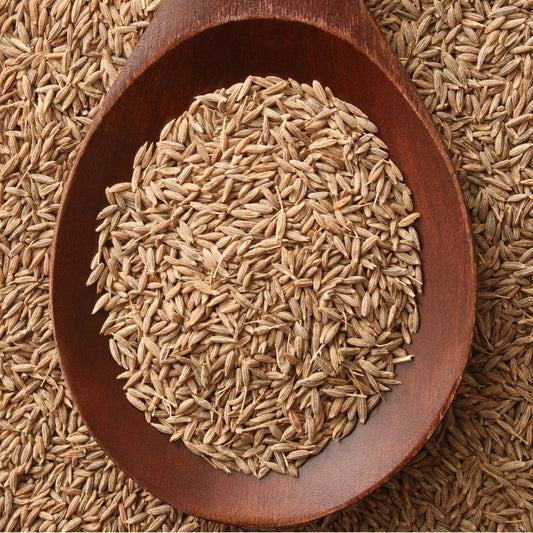 MK Whole Cumin Seeds 1 x 10 KG - HorecaStore