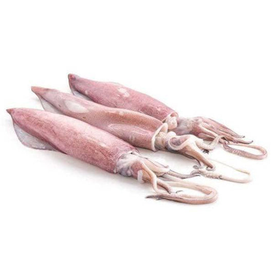 Squid Whole 1 x 10 Kg   HorecaStore