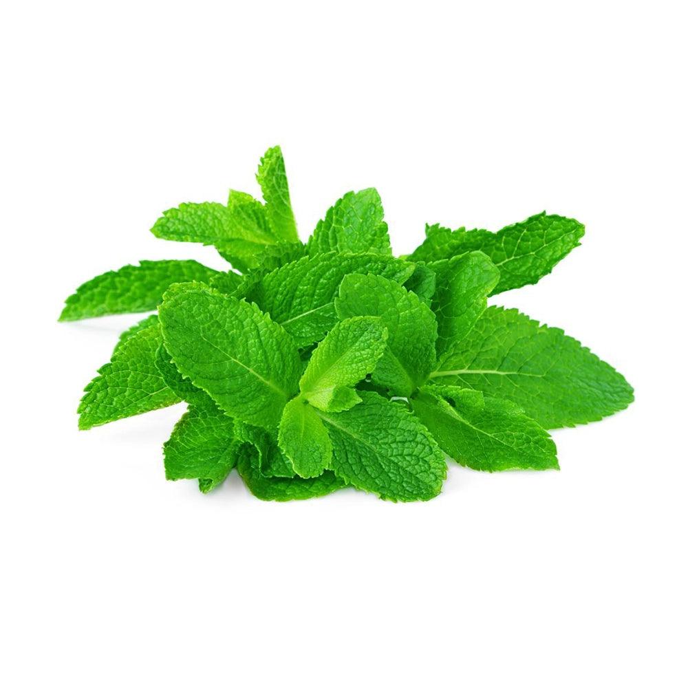 Mint Leaves Cyprus 1 Kg   HorecaStore