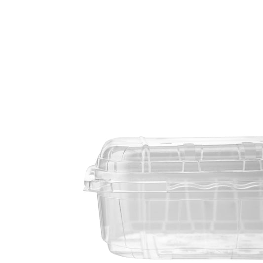 hotpack pet clear veg fruit punnet clamshell container 1000 g 17 x 12 5 x 10 cm 400 pcs