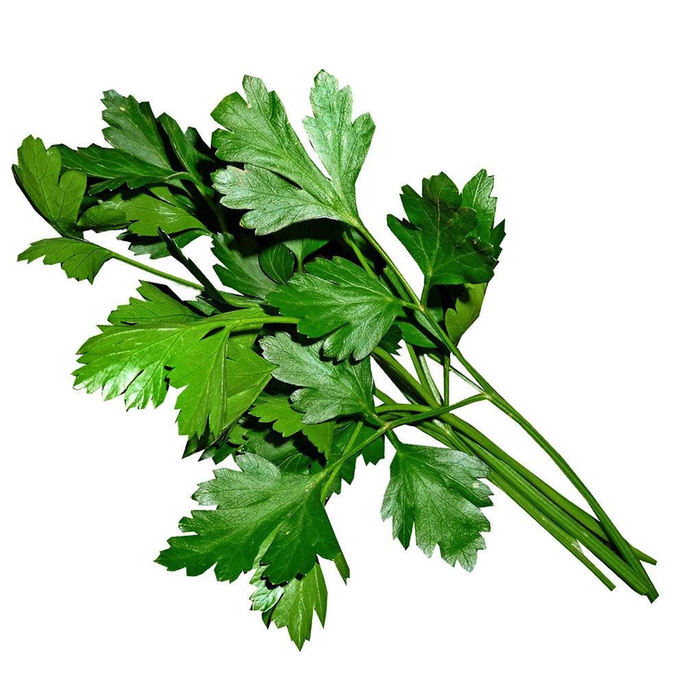 Parsley Flat Middle East 1 Kg   HorecaStore