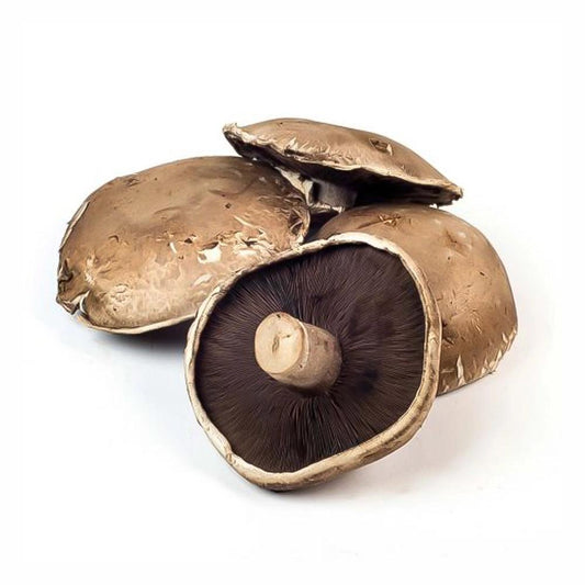 Portabella Mushroom Holland 1 Kg   HorecaStore