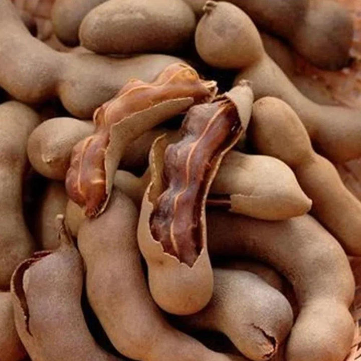 RK Imli (Tamarind) 10 Gms x 20 Kgs - HorecaStore