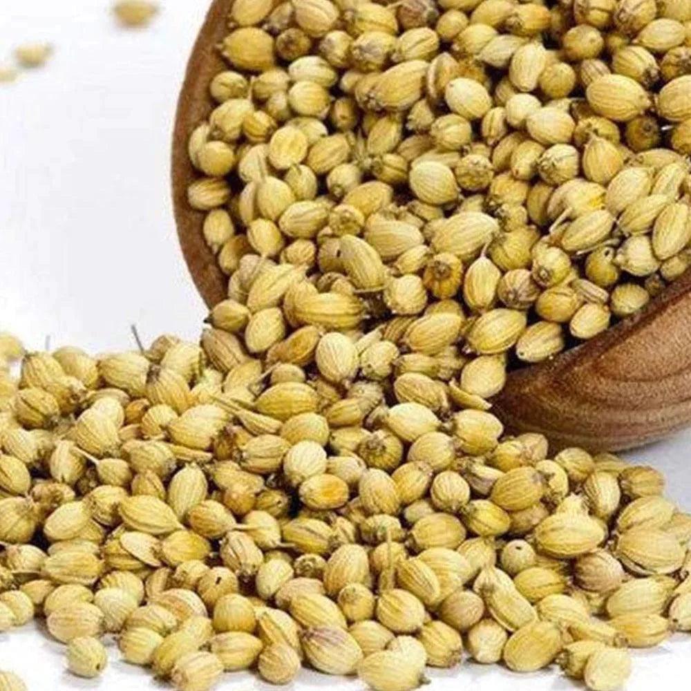 Syria Coriander Whole 1 Kg - HorecaStore