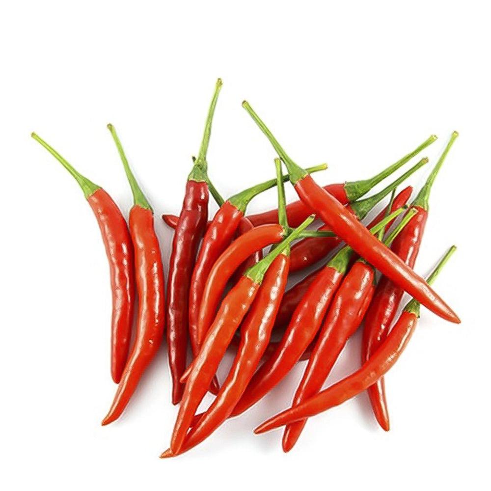 Red Chilli Holland 1 Kg   HorecaStore