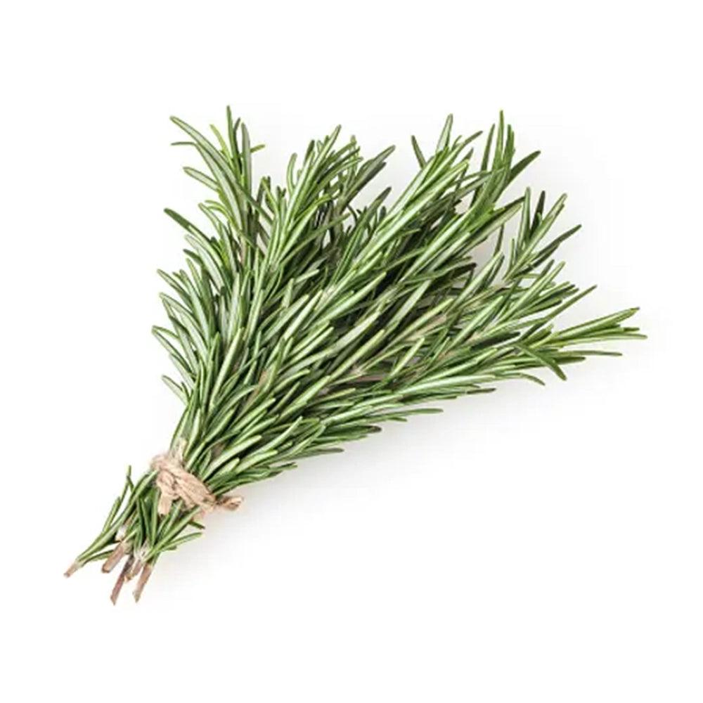 Rosemary Holland 1 Kg   HorecaStore